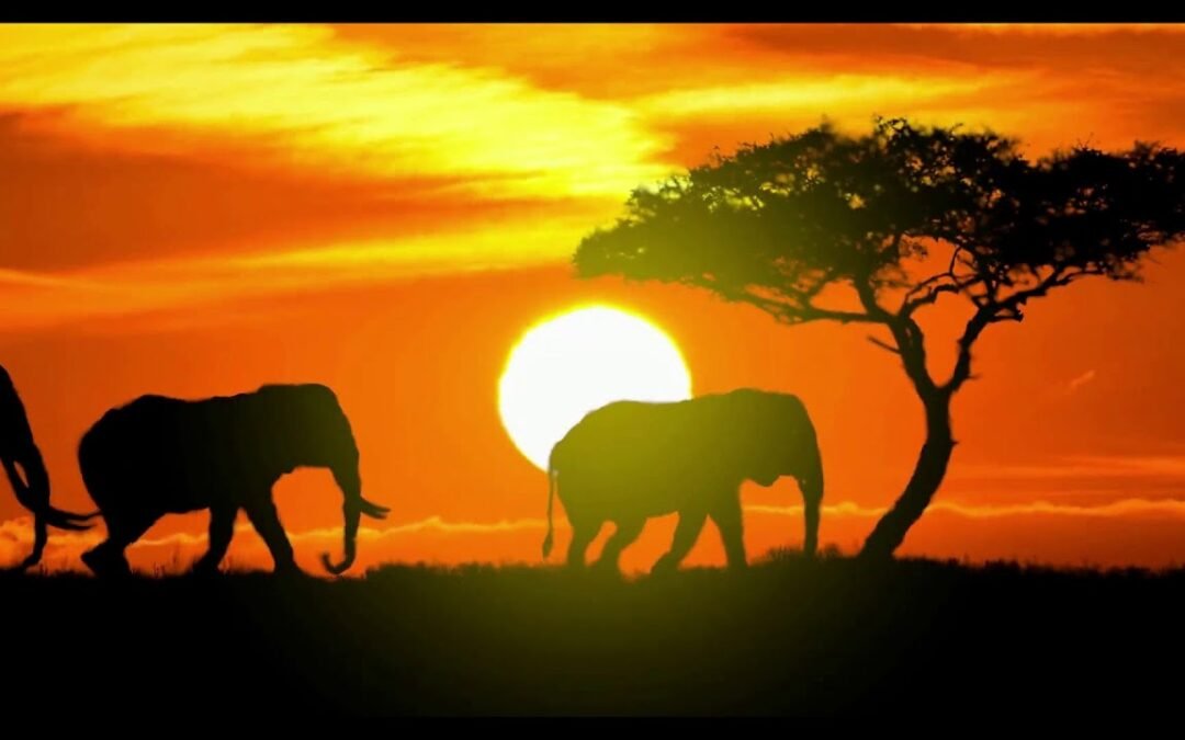 Buy Gold Bars in Lekhwair