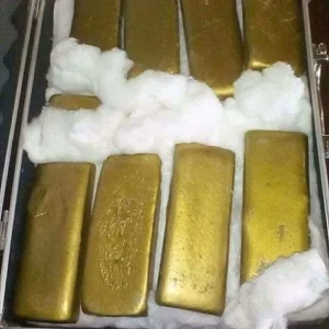 Gold Bars in Latvia